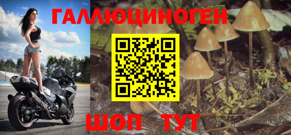Псилоцибиновые грибы Psilocybine cubensis  купить закладку  Ейск  Галлюциногенные грибы Cubensis  Вход с VPN 